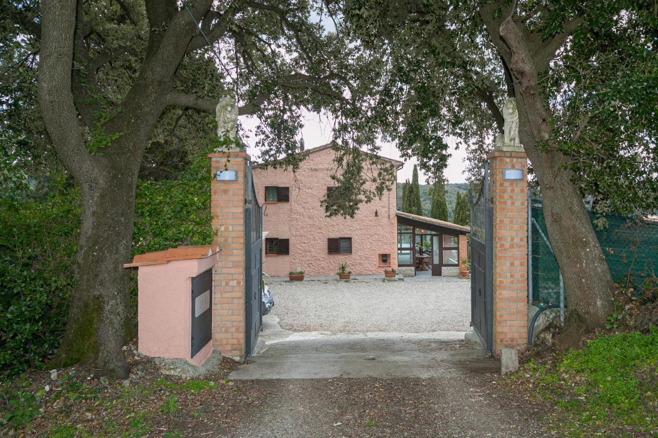 Villa Cristina Riparbella Eksteriør bilde
